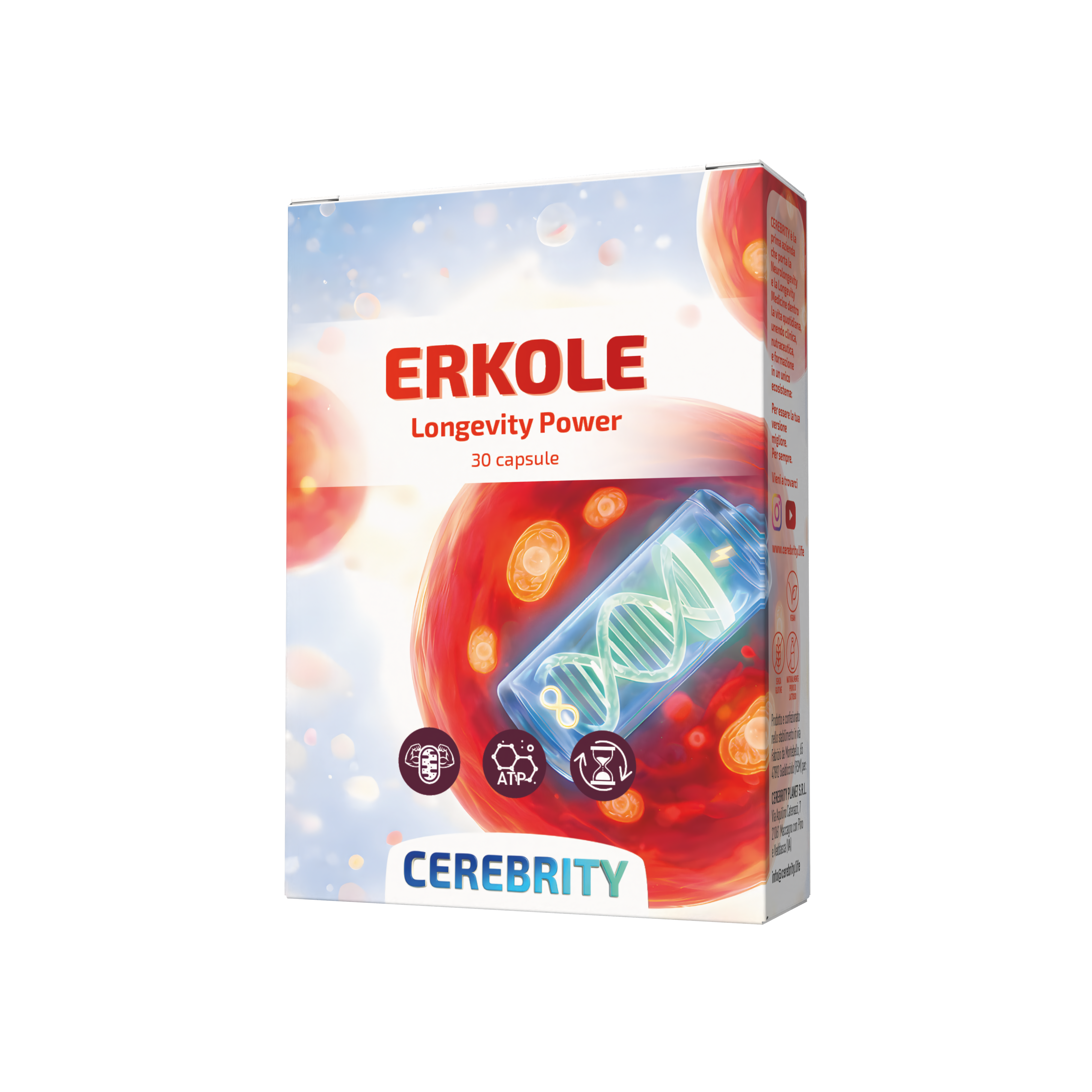 ERKOLE